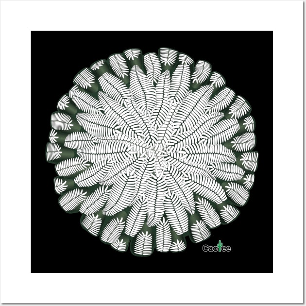 Pelecyphora Aselliformis Wall Art by Cactee